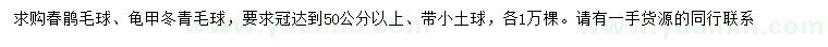 求購露宿風餐50公分以上春鵑毛球、龜甲冬青毛球