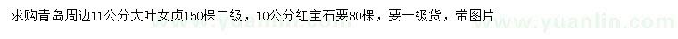 求購(gòu)11公分大葉女貞、10公分紅寶石