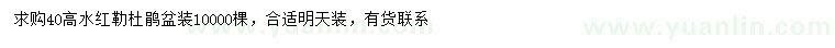 求購高40公分水紅勒杜鵑