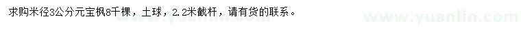 求購米徑3公分元寶楓