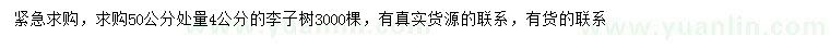 求購(gòu)50公分處量4公分李子樹(shù)