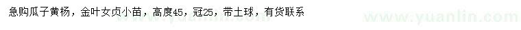 求購高度45公分瓜子黃楊、金葉女貞小苗