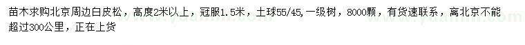 求購高度2米以上白皮松