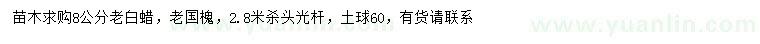 求購8公分老白蠟、老國槐