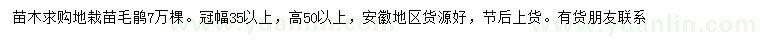 求購高50公分以上毛鵑苗