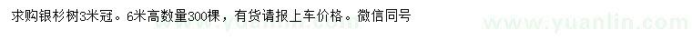 求購冠幅3米銀杉樹