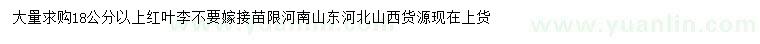 求購(gòu)18公分紅葉李