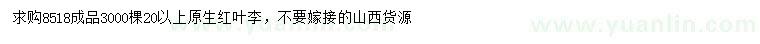 求購20公分以上原生紅葉李