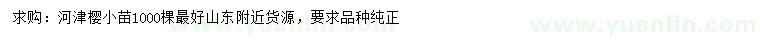 求購河津櫻小苗