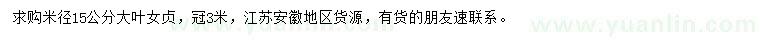 求購米徑15公分大葉女貞