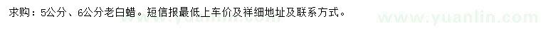 求購5、6公分老白蠟