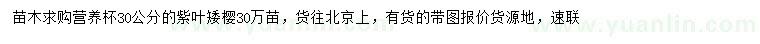 求購(gòu)30公分紫葉矮櫻