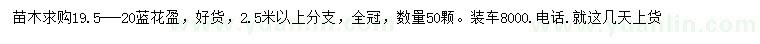 求購19.5-20公分藍(lán)花盈