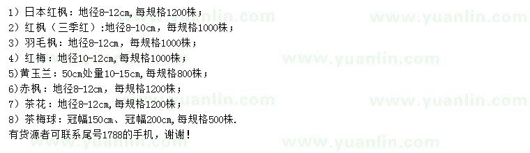 求購(gòu)日本紅楓、紅楓、羽毛楓等