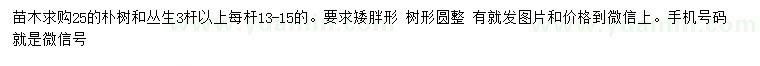 求購25公分樸樹、3桿以上叢生樸樹