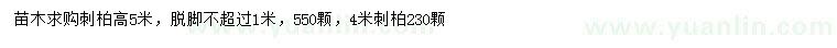 求購(gòu)高4、5米刺柏