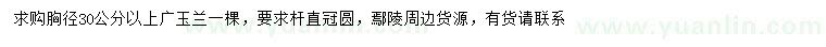 求購胸徑30公分以上廣玉蘭