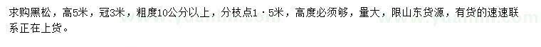 求購(gòu)高5米黑松