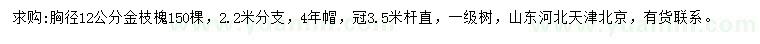 求購胸徑12公分金枝槐