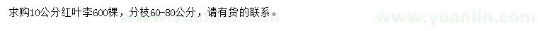 求購10公分紅葉李