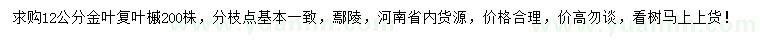求購12公分金葉復葉槭