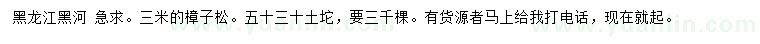 求購3米樟子松