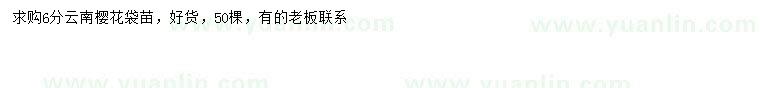 求購6公分云南櫻花袋苗