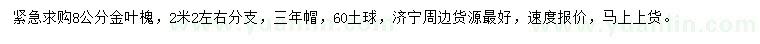 求購(gòu)8公分金葉槐