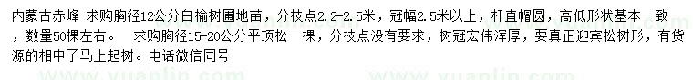求購(gòu)胸徑12公分白榆樹、15-20公分平頂松