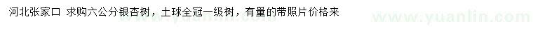 求購6公分銀杏