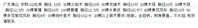 求購(gòu)山杜英、火焰木、花旗木等
