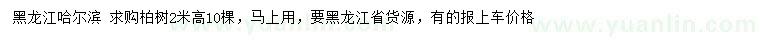 求購高2米柏樹
