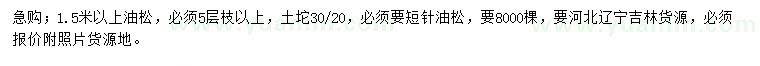 求購1.5米以上油松