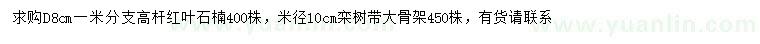 求購地徑8公分高桿紅葉石楠、米徑10公分欒樹