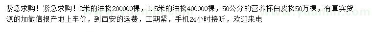 求購(gòu)1.5、2米油松、50公分白皮松