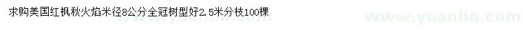 求購米徑8公分美國紅楓秋火焰