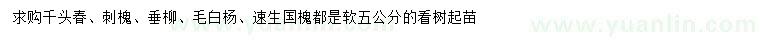 求購千頭春、刺槐、垂柳等