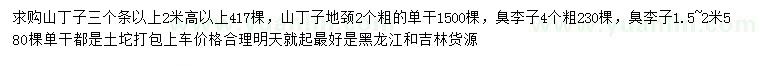 求購高2米以上、地徑2公分山丁子、4公分臭李子