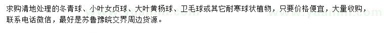 求購冬青球、小葉女貞球、大葉黃楊球等