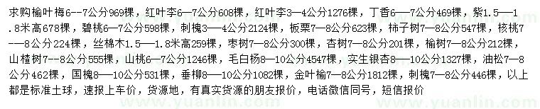 求購榆葉梅、紅葉李、丁香等