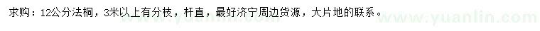 求購12公分法桐