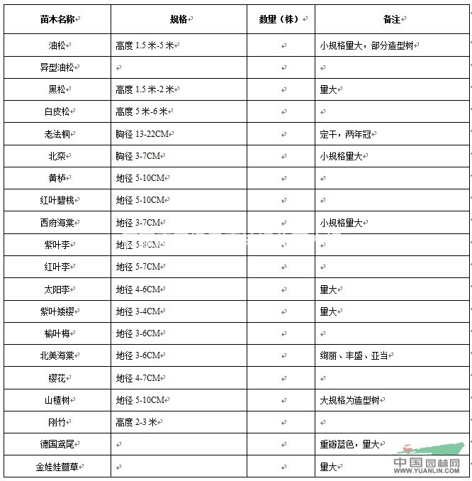 河北油松高度1.5米-5米小規(guī)格量大，部分造型樹  出售