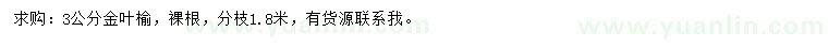 求購3公分金葉榆
