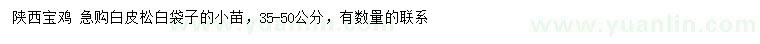 求購35-50公分白皮松
