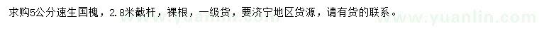 求購(gòu)5公分速生國(guó)槐