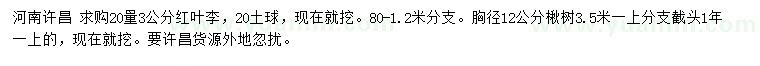 求購20量3公分紅葉李、胸徑12公分楸