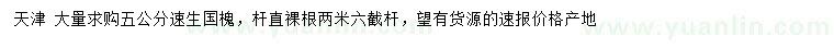 求購5公分速生國槐