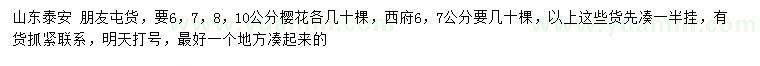 求購6、7、8、10公分櫻花