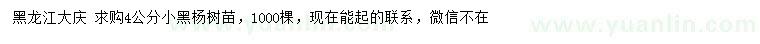 求購4公分小黑楊樹苗