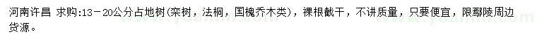 求購欒樹、法桐、國槐